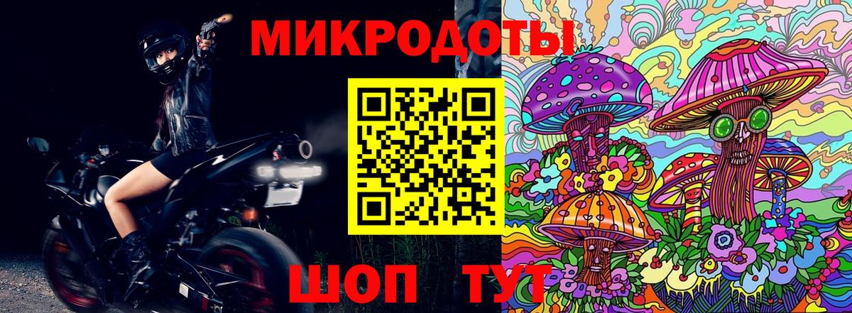 Галлюциногенные грибы Тихвин