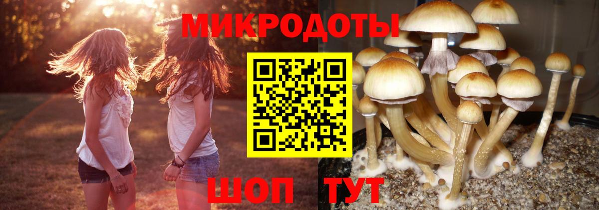 Галлюциногенные грибы мицелий Тихвин