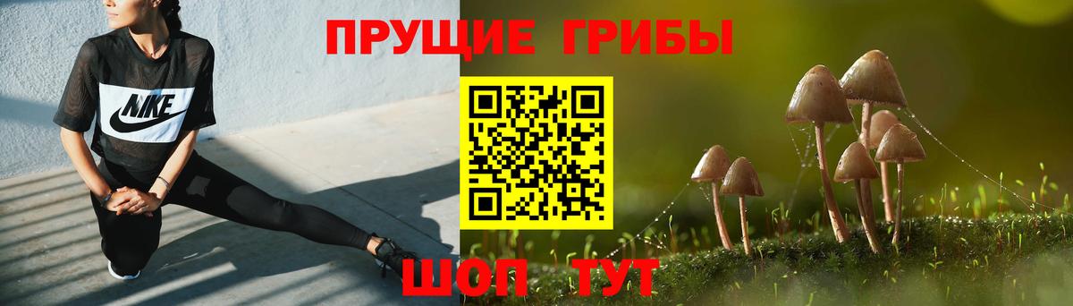 Галлюциногенные грибы Cubensis  Вход с VPN  Псилоцибиновые грибы Psilocybine cubensis  Тихвин 